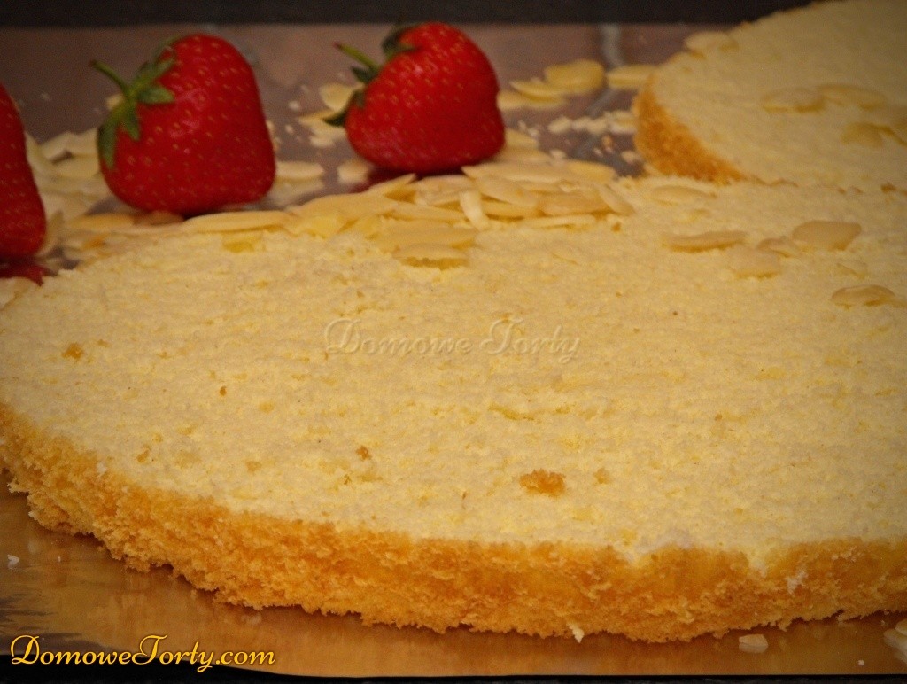 Biszkopt migdalowy - blaty